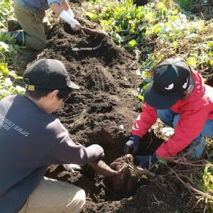 【ご案内】ぶんぶんウォーク期間中、《ぶんじ焼き》を販売します