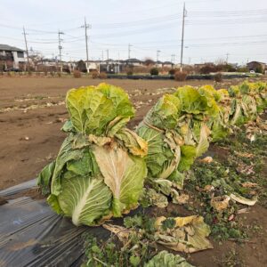 02/02（月）「16時からぶんじ食堂＠ぶんじ寮」を開催